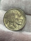 1913 Type 1 High Grade Full Horn Unc Detail Buffalo Nickel Better Date Us Coin 
