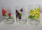 Flower Of The Month Drinking Glasses By Brockway - 9 Glass Set