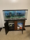 Complete 55-gallon Aquarium Kit With Storage Cabinet Stand   Cleaning Pump