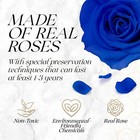 Preserved Roses In A Box - Gifts For Her  Wife   Mom  Rose Flowers Forever Decor