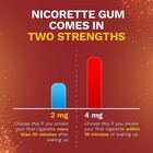 Nicorette Nicotine Gum Cinnamon Surge Flavor 2mg 100ct Stop Smoking Aid
