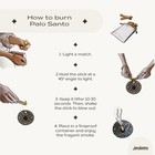 Wild Harvested Palo Santo  100g Smudge Sticks  Reble Bag Included  Brown