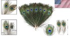 Handpicked 12pcs Peacock Feathers 10-12 Inch - Perfect For All Occasions