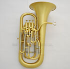 Professional Brushed Brass Compensating System Euphonium Horn B-flat Wheels Case