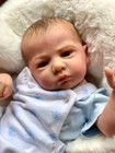 18-20inch Cameron Baby Reborn Boy And Girl With 3d Painted Skin Painted Hair