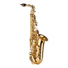 Professional Band Eb Alto Sax Brass Gold Lacquer Sax W  Case   Accessories C1c3