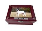 Small Pet Urn For Dogs Or Cats  Picture Pet Urn  Engraved Pet Name Plate 