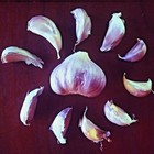 Fresh Organic Heirloom Garlic Bulbs Chesnok Red Plant Or Eat 3 Bulbs - 10 Lbs