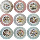 Vintage 10    Souvenir Plate - Multiple States And Rim Colors