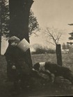 Rare Vintage Original Photo 1920s  the Roaring 20s  A Boy Playing With A Dog