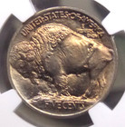 1913  p  Indian Head Buffalo Nickel  type 1  5c Ngc Ms66   001  plus  Gem Ecc c