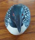 Signed Wooden  Painted Loon 1984