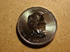 2016 Canada Uk Queen Elizabeth Ii Bison 1 1 4 Oz   8 Silver Bullion Coin