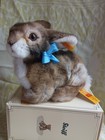 New  Steiff Rabbit  putsi   All Tags Attached