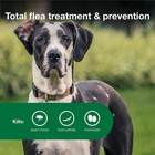 Advantage Ii Lice   Flea Prevention For Extra Large Dog Over 55lbs 6 Doses