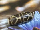 Old Tibetan Nepalese Himalayan Ancient Eye Old Dzi Talisman Beads Amulet          