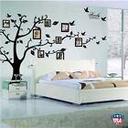 Family Tree Wall Decal Sticker Large Vinyl Photo Picture Frame Removable Us Gift