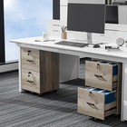 2 Drawer File Cabinet With Lock Rolling Wood Filing Storage Letter A4 Gray