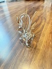 Clear Glass Dragon Figure Statue With Gold Accents Fantasy Theme