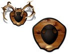 Mountain Mike   s - Plaque Master Antler Mounting Kit - Plaque Mounting Kit For   