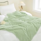 Cream Green Fleece Throw Blanket 50x60 For Couch Sofa Bed Super Soft Cozy