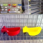 12pcs Quail Water Cups Pigeon Automatic Bird Waterer For Cage Hang Drinker Br   