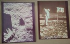 Group Of 8  Photos  Nasa Apollo 11 Moon Landing      1969