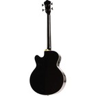 Ibanez Aeb5e Acoustic-electric Bass Black