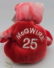 Vtg Salvino s Bammers Opening Day Spring 1999 Mark Mcgwire  25 Bear
