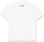 Lacoste Boys Petit Pique Polo Shirt White -001 navy Blue 100  Poly With Emb