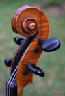 Listen To Video  Antique German Violin By Wolff Brothers  1912