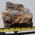 Rimrock  4 75 Lbs Polished Cabbing Hampton Butte Agatized Limb Cast Faced Rough