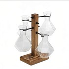 Hydroponic Glass Vase With Wood Stand- Modern Office Desk Water Plant Decoration