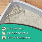 Scoopable Tight Clumping Cat Litter  Fresh Scent  20 Lb