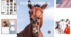 14- Funny Animal Calendar  nov 2025 - Dec 2026  - Durable   Eco-friendly