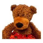 Valentine Plush Teddy Bear Brown Max First   Main Stuffed Animal Boxer Shorts