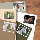 Us Forever Stamps Horses Pane Of 20  total 100  Scott  5891-5895