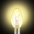 Jahy2tech Original 6 Pcs Flea Trap Replacement Light Bulbs  Special For Brown