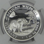 2019 Somalia S100s Elephant High Relief Ngc First Releases Pf70uc 1oz 999 Silver