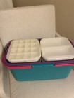 Vintage Eagle Craftstor Craft Storage Tote 20     Organizer Tray  6 Bins  Dividers