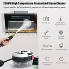 Handheld Steam Cleaner Machine 2500w High Tempetature Steamer Cleaning Tools