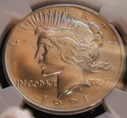 1921-p Peace Dollar High Relief Ngc Ms62