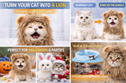 Turn Your Cat Into A Lion  Funny Pet Costume Lion Mane Wig For Cats   Small Dogs