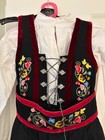 Norwegian Girls Folk Dress bunad