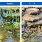 Crystalclear Algae D-solv Algaecide Pond Treatment 32oz  Cc073-32
