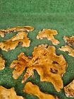 5 Kg   11 Lbs Natural Burl Olive Wood Slices Set  Raw Edge Olive Wood Slabs