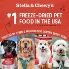 Stella   Chewy s Freeze-dried Raw Meal Mixers Dog Food  Chewy s Chicken  35 Oz