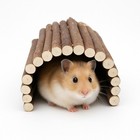 10 Piece Natural Wooden Toy Set For Hamsters   Small Rodents