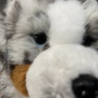 Fao Schwartz Australian Shepherd 14  Plush Dog Soft Stuffed Animal Adopt A Pet