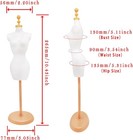 Stylish Compact Mannequin Clothing Form Set For Display Studio White Gold  4pcs